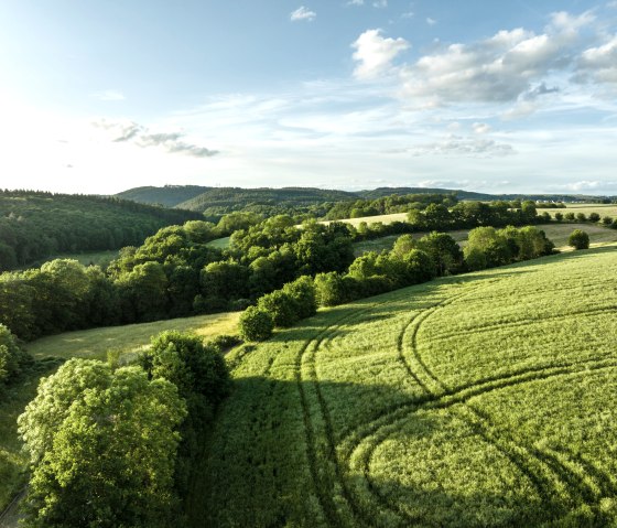 Green fields and forests stretch out under a blue sky with clouds. The landscape is gently undulating and flooded with sunlight., © Eifel Tourismus, Dominik Ketz