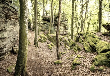 Grüne Hölle, © Eifel Tourismus GmbH, D. Ketz