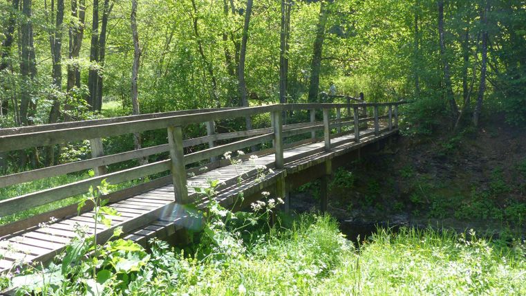 Eine Holzbrücke führt über einen kleinen Bach in einem grünen Wald. Umgeben von üppiger Vegetation und sunlight, vermittelt die Szene eine ruhige, natürliche Atmosphäre.