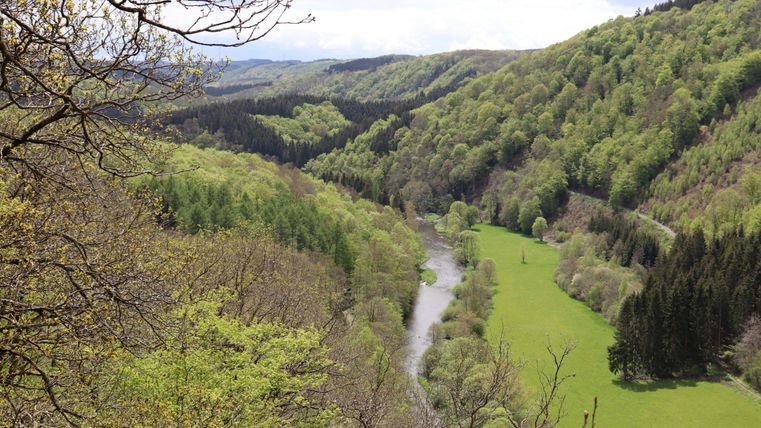 Eine malerische Landschaft mit sanften Hügeln und einem Fluss. Grüne Bäume und Wiesen prägen das Bild.
