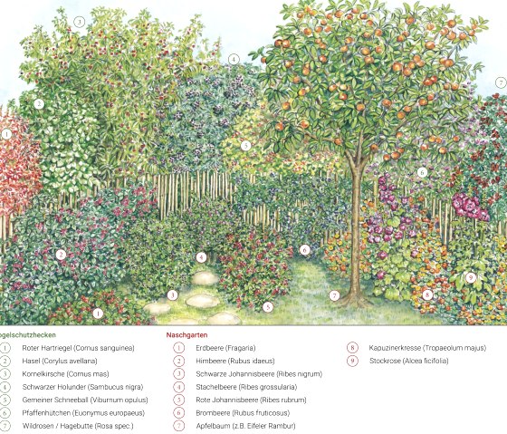 Gartenkultur Eifel Oktober, &copy; Naturprk S&uuml;deifel/Sabine Dubb.