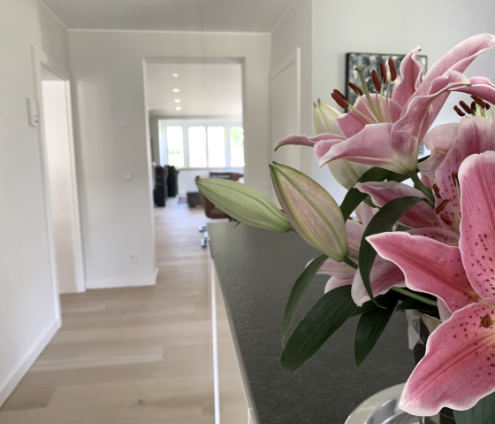 K&uuml;che_Pflanze_nah Gro&szlig;