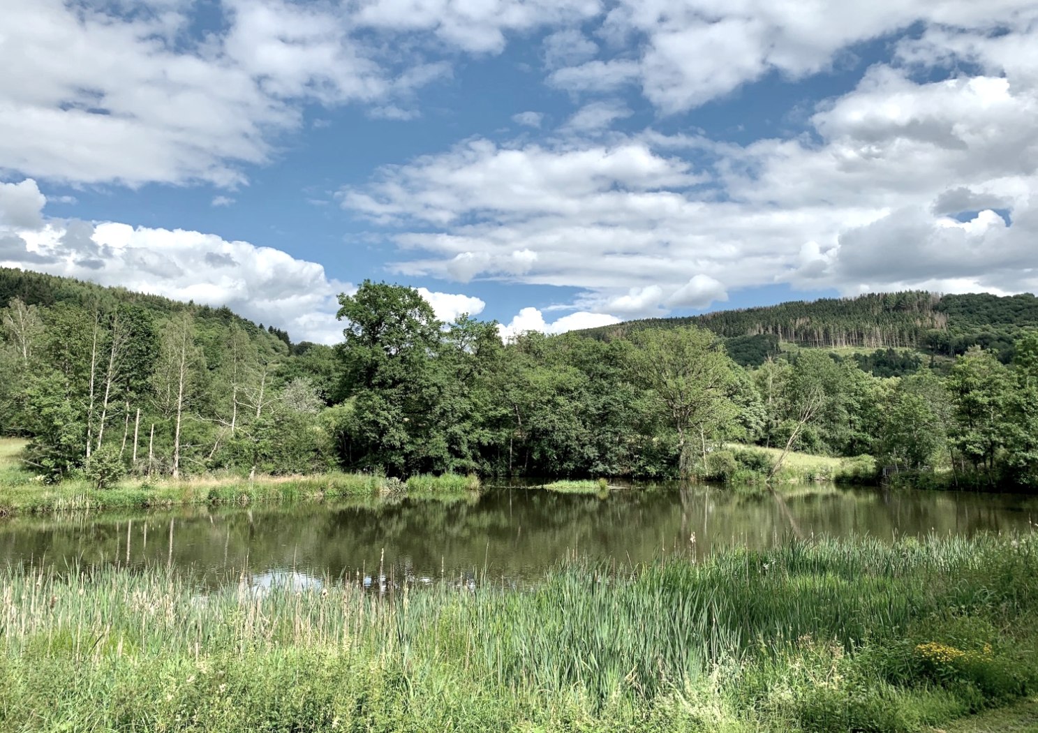 Stausee Irrhausen, &copy; Naturpark S&uuml;deifel/Ansgar Dondelinger