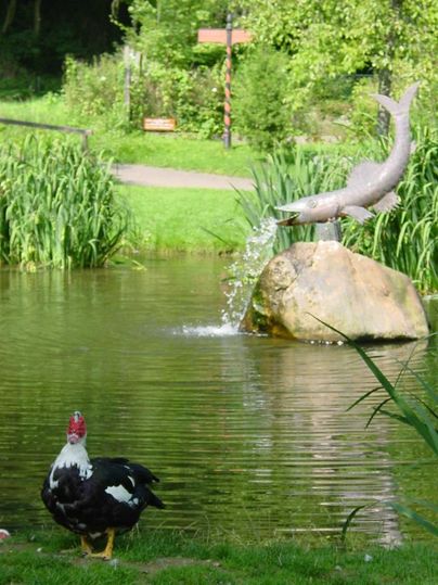 Een eendenpaar staat aan de oever van een rustige vijver met groene planten. Op de achtergrond spuit een vis uit een sculptuur op een grote steen.