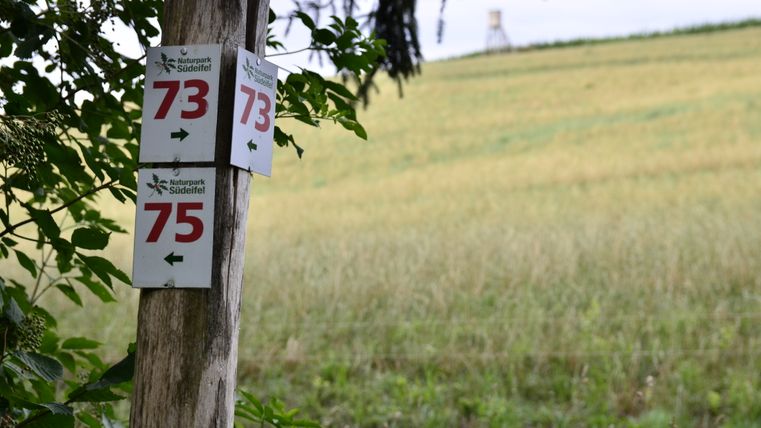 Wegweiser im Naturpark Südeifel mit den Nummern 73 und 75, im Hintergrund ein Feld und ein Hochsitz.