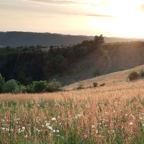 Morning sun over the Our valley, © V. Teuschler