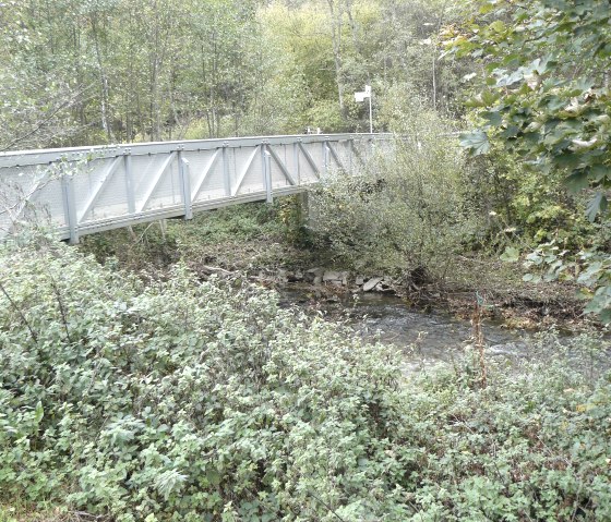 Eine Metallbrücke führt über einen kleinen Fluss, umgeben von dichtem Grün und Bäumen., © Felsenland Südeifel Tourismus, Christian Calonec-Rauchfuss