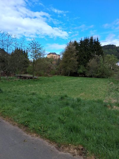 Une pelouse verte avec des arbres et une belle vue sur un château en arrière-plan. Le ciel est clair et bleu.