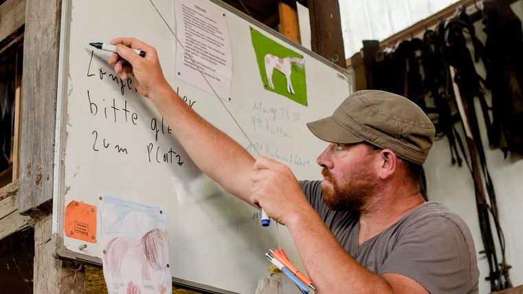 Een man schrijft op een bord in een stal. Op het bord zijn notities en een grafiek van een paard te zien.