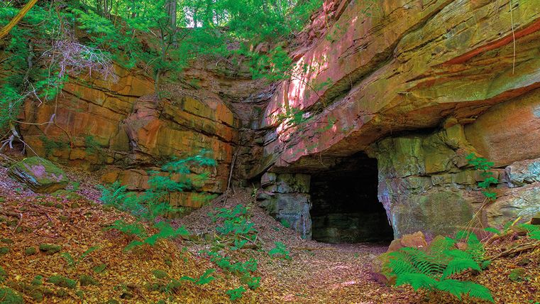 Eingang einer Höhle in einer Buntsandsteinformation, umgeben von grüner Vegetation.