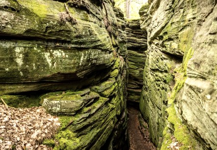 Schmale, moosbedeckte Felsenschlucht mit Laub am Boden. Die Wände sind grünlich und von Pflanzen bewachsen., © Eifel Tourismus GmbH, Dominik Ketz