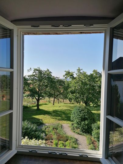 Een vensterzicht op een mooie tuin met bomen en groen gras. De heldere blauwe lucht geeft de scène een ontspannen sfeer.