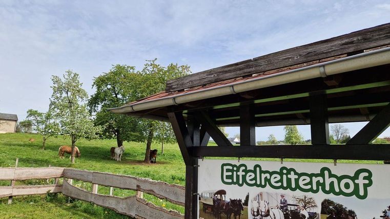 Een paardenhof in de Eifel met een bord dat de naam "Eifelreiterhof" toont. Op de achtergrond zijn groene weilanden en enkele paarden te zien.