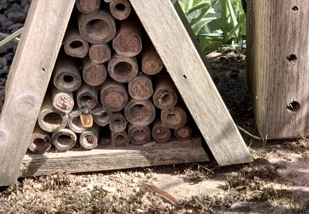 Nisthilfe Wildbienen, © Naturpark Südeifel/Daniela Torgau
