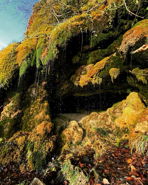 Eine felsige Höhle mit moosbedeckten Wänden und sanftigem Wasser, das herabfließt. Umgeben von buntem Laub und grünen Pflanzen.