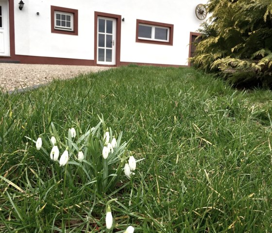 Fr&uuml;hlingsboten Anfang M&auml;rz