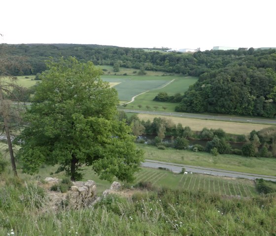 Panoramic view of the S&ucirc;re valley with green fields, a river and a young vineyard. A tree and a road in the foreground., &copy; Elke Wagner, Felsenland S&uuml;deifel Tourismus GmbH