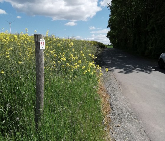 Wide fields accompany us for most of the way., © Felsenland Südeifel Tourismus, Antje Ackermann