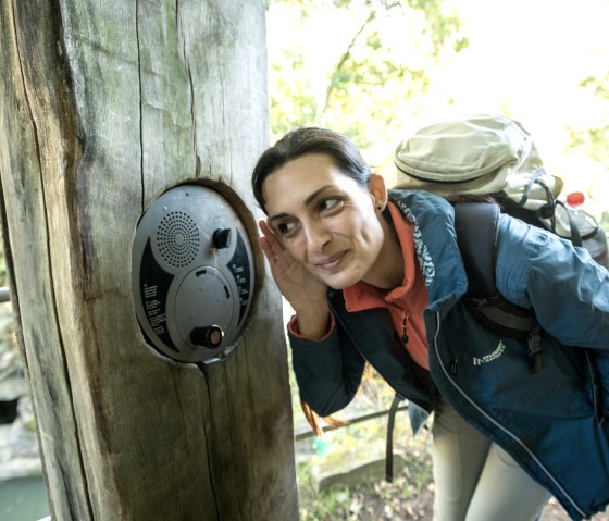 Spannende Geschichten vom Felsenweiher Ernzen, &copy; Eifel Tourismus GmbH, Dominik Ketz
