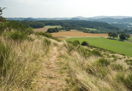 eifeltourismus-2009-002