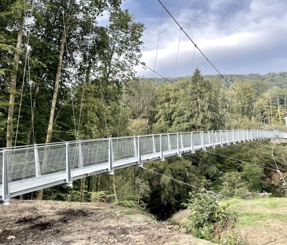 H&auml;ngebr&uuml;cke &uuml;ber den Irreler Wasserf&auml;llen., &copy; Naturpark S&uuml;deifel/Ansgar Dondelinger
