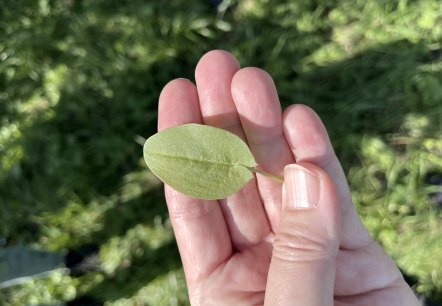 Fit in den Fr&uuml;hling, &copy; TI Bitburger Land