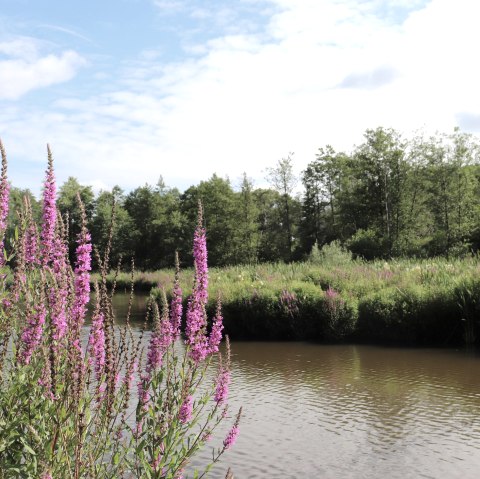 Stausee Irsental, &copy; Tourist-Information Islek
