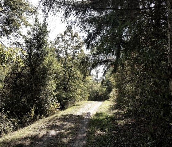 Naturpark-Wanderweg am Stausee Arzfeld, &copy; TI Islek.