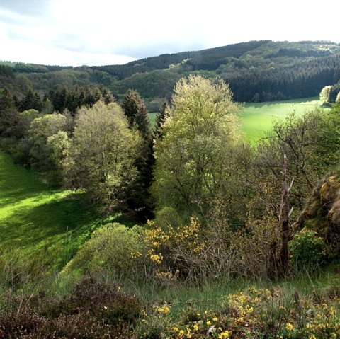 Irsental near Daleiden, © V. Teuschler