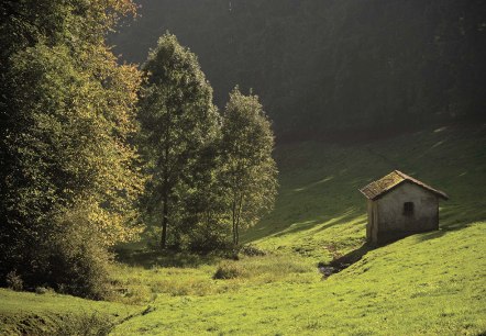 Kleine H&uuml;tte auf gr&uuml;ner Wiese im Kammerwald, umgeben von B&auml;umen im Sonnenlicht. Malerische Landschaft., &copy; Naturpark S&uuml;deifel, P. Haas
