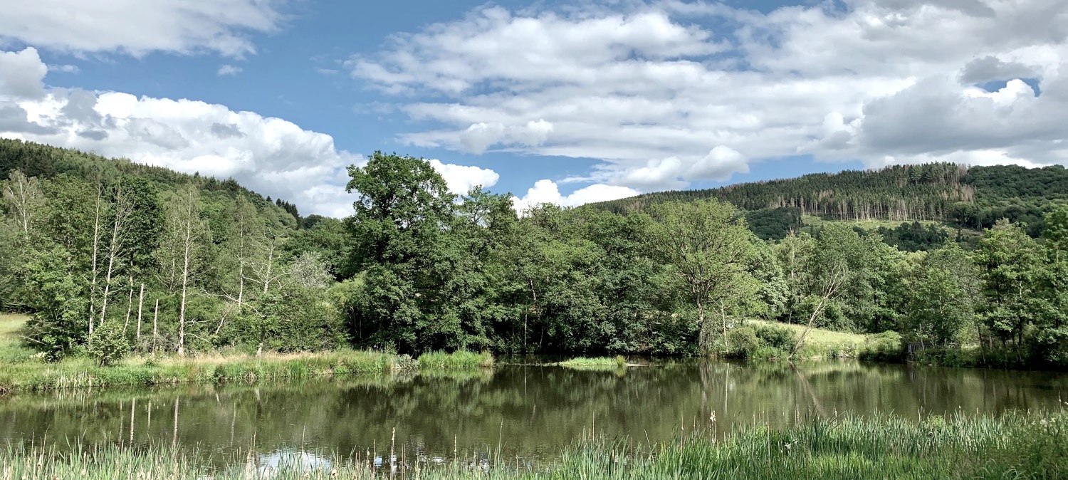 Stausee Irrhausen, &copy; Naturpark S&uuml;deifel/Ansgar Dondelinger