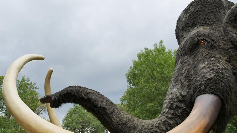 Een mammoet met lange slagtanden staat voor een bosrijke achtergrond. De lucht is bewolkt en de omgeving doet natuurlijk aan.