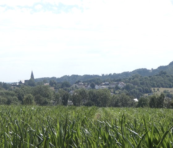 Ein weites Maisfeld erstreckt sich im Vordergrund, während im Hintergrund ein Dorf mit einem Kirchturm zu sehen ist. Der Himmel ist leicht bewölkt., © Tourist-Information Bitburger Land