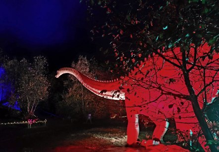 Urzeitriese: Diplodocus, © Dinosaurierpark Teufelsschlucht, Foto Elke Wagner