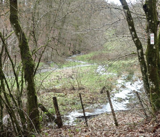 Stream on hiking trail no. 11, © Tourist-Information Islek