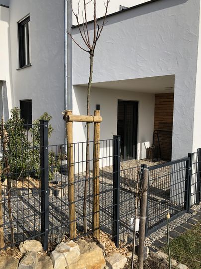 Ein modernes Haus mit einem kleinen Vorgarten. Im Vordergrund steht ein Baum, der gestützt wird, und ein Zaun umschließt den Garten.