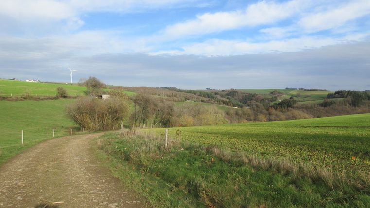 Landschaft mit Feldweg, grünen Wiesen und einem Windrad im Hintergrund.