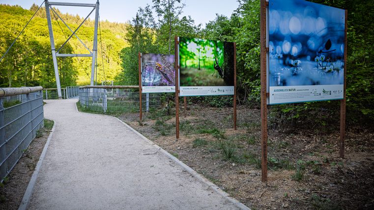 Ausstellung von Tierfotos bei den Irreler Wasserfällen