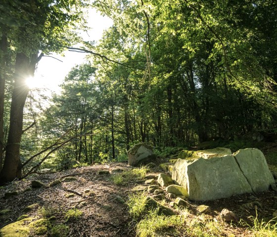 Steinkistengrab am Klausnerweg im NaturWanderpark delux, &copy; Eifel Tourismus GmbH, D. Ketz