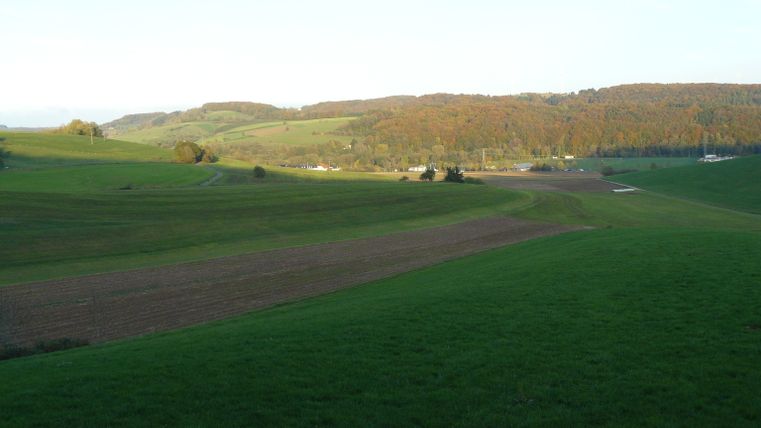 Vaste paysage vert avec des collines et des forêts au loin près de Mettendorf.