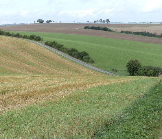 Fields near Dasburg, © Tourist-Information Islek