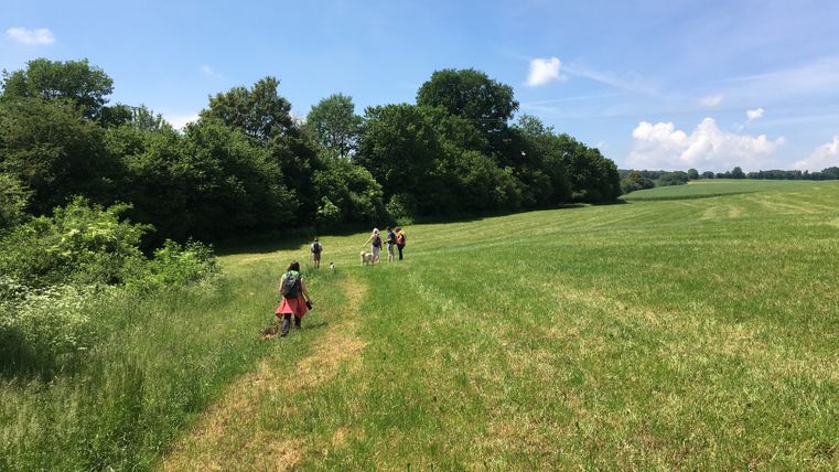 Group of people walking across a green meadow under a blue sky.