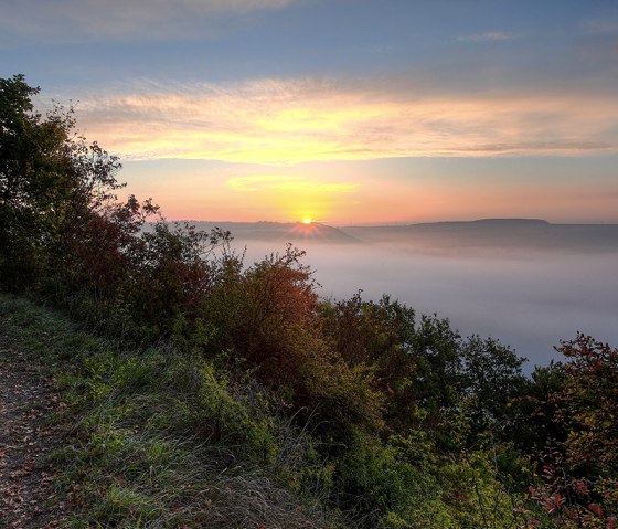 Sonnenaufgang über einer nebligen Landschaft, Bäume und ein Pfad im Vordergrund. Der Himmel ist in warmen Farben gefärbt., © Naturpark Südeifel, C. Schleder