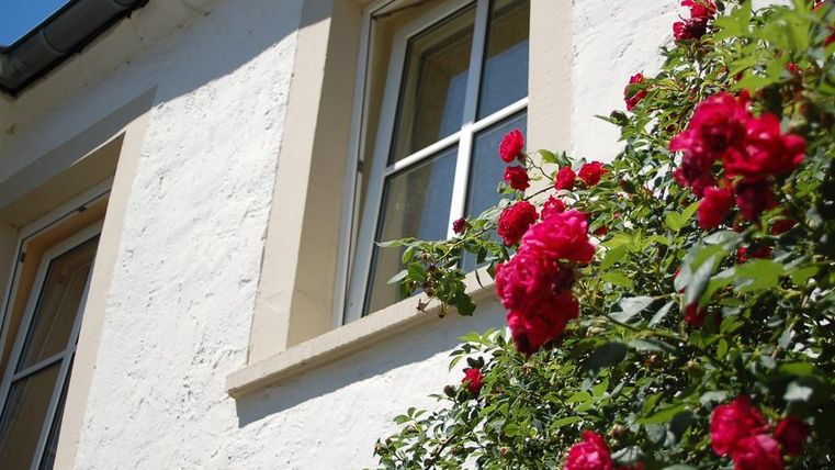 Un bâtiment avec des murs blancs et deux fenêtres. Devant la maison, des roses rouges fleurissent.