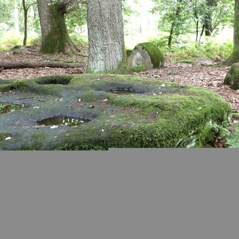 Kiesgräber - Grabgruben im gewachsenen Fels, © Felsenland Südeifel Tourismus GmbH