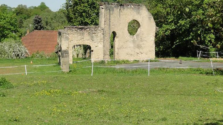 Eine alte Ruine steht auf einer Wiese, umgeben von Bäumen. Der Himmel ist klar und die Landschaft ist grün.