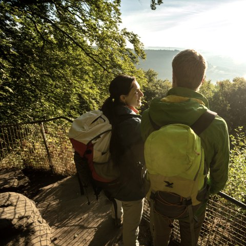 Two hikers with rucksacks stand at a railing and look out over the sunny, wooded landscape., © Dominik Ketz