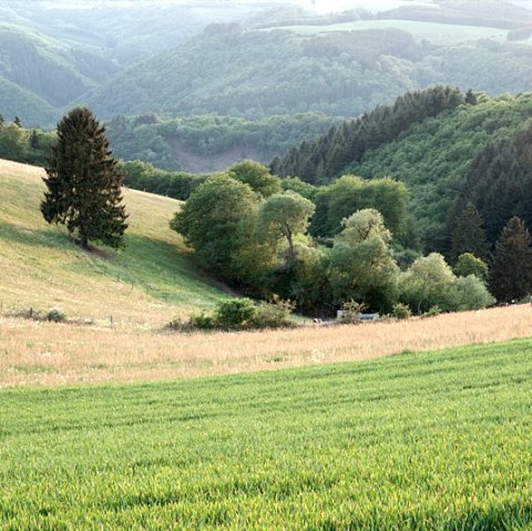 Eifeltal, &copy; V. Teuschler