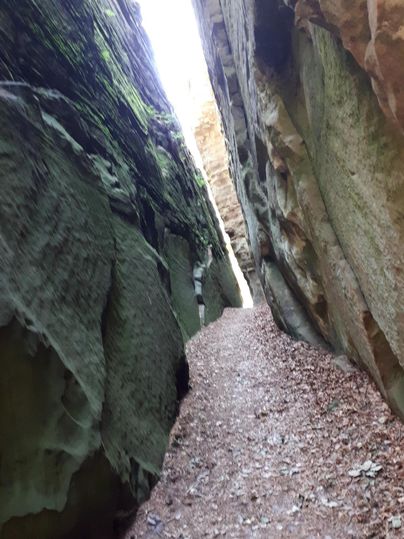 Une gorge étroite avec de hauts murs rocheux et un sentier étroit. La lumière brille d'en haut dans le canyon.