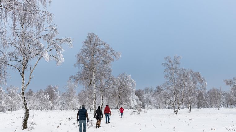 Eine Gruppe von Menschen wandert durch eine verschneite Landschaft. Die Bäume sind mit Schnee bedeckt und der Himmel ist bewölkt.